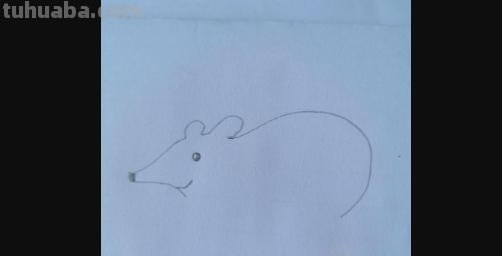 怎么画老鼠简笔画图片 幼儿美工：[6]简笔画---猫和老鼠？