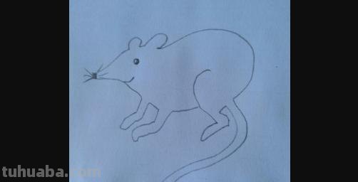 怎么画老鼠简笔画图片 幼儿美工：[6]简笔画---猫和老鼠？