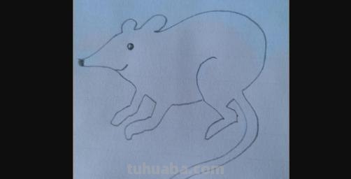 怎么画老鼠简笔画图片 幼儿美工：[6]简笔画---猫和老鼠？