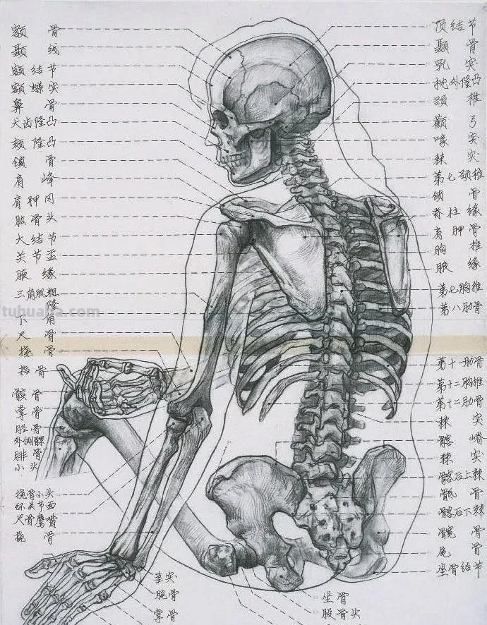 中央美术学院经典人物素描50幅