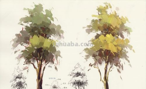 色彩树教学视频:让你轻松掌握绘画的奥秘
