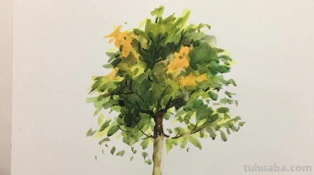 色彩树教学视频:让你轻松掌握绘画的奥秘