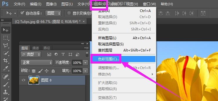 寻找最适合你的PS色彩工具,让你的设计更加精彩绚丽
