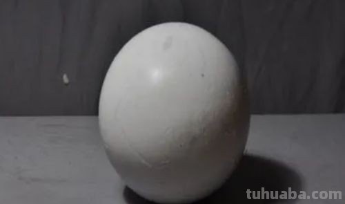 sphere怎么读