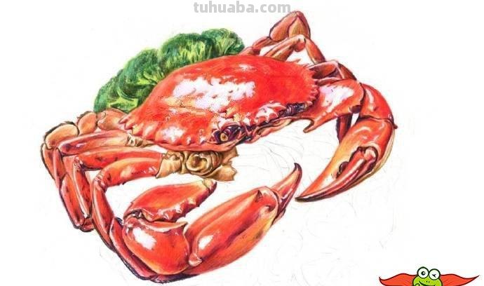 用色彩画螃蟹及色彩螃蟹画法 
