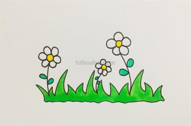 手抄报小草怎么画好看 小草绘画？