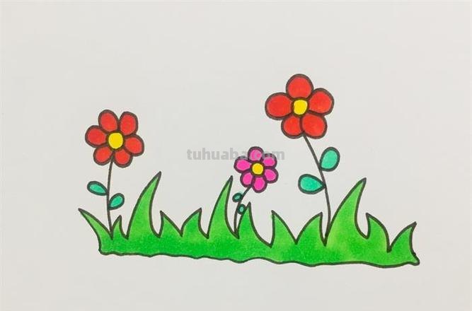手抄报小草怎么画好看 小草绘画？