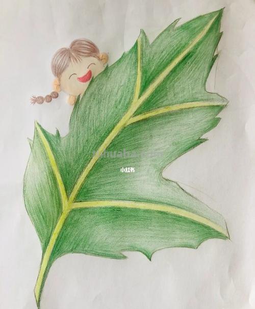 用彩铅画叶子图片怎么画 彩铅画简单小学生？