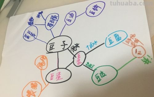 大豆生长思维导图怎么画 植物导图怎么做？