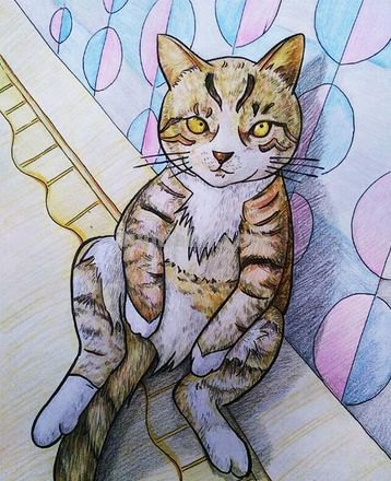 【涂画吧小编教你绘制色彩斑斓的猫咪画】 