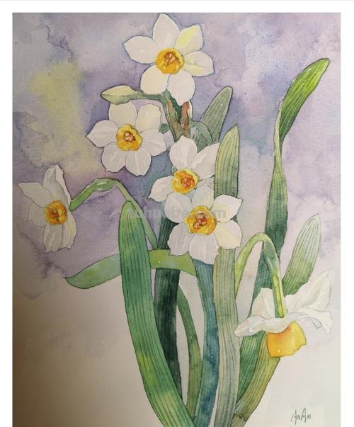 水仙的色彩及水仙色彩画:探寻自然之美,绽放春天的色彩