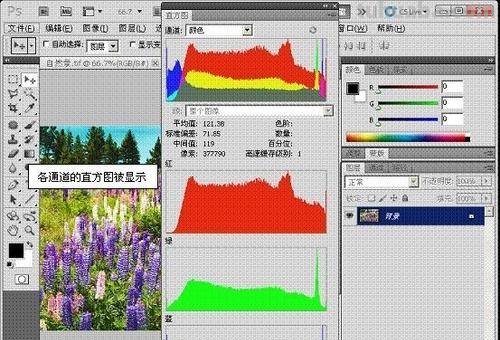 图像色彩校正及图像色彩校正矩阵: 为图像带来真实、生动的色彩