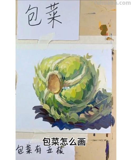 色彩单体包及色彩单体包菜——提升涂鸦创作的神奇工具