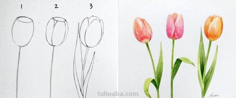 40张为家里爱画画的小朋友收藏，简单3步画一朵花！