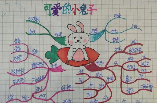 绘画幼儿思维导图怎么画 小兔思维导图简单又可爱？