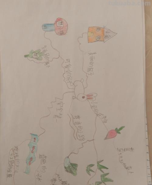 绘画幼儿思维导图怎么画 小兔思维导图简单又可爱？