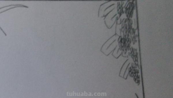 姓氏特色手抄报边框怎么 电子手抄报报怎么设置边框？