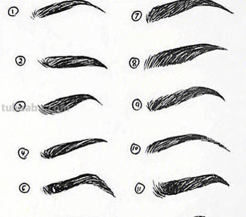 眉毛种类速写 五官速写技巧口诀？