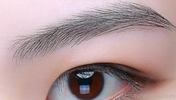 眉毛种类速写 五官速写技巧口诀？