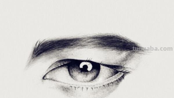 眉毛种类速写 五官速写技巧口诀？