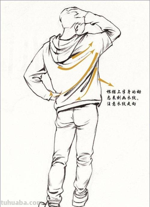 网上学速写 速写入门一步一步教？