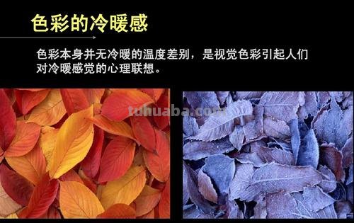 24个色彩及24个色彩图:探索色彩的魅力与表达