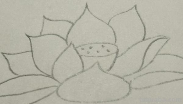 用彩铅画简单荷花怎么画 4开纸荷花彩铅画？