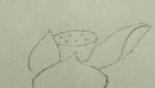 用彩铅画简单荷花怎么画 4开纸荷花彩铅画？