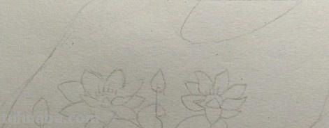 用彩铅画简单荷花怎么画 4开纸荷花彩铅画？