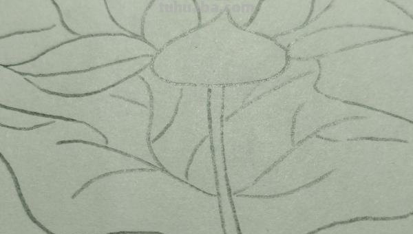 用彩铅画简单荷花怎么画 4开纸荷花彩铅画？