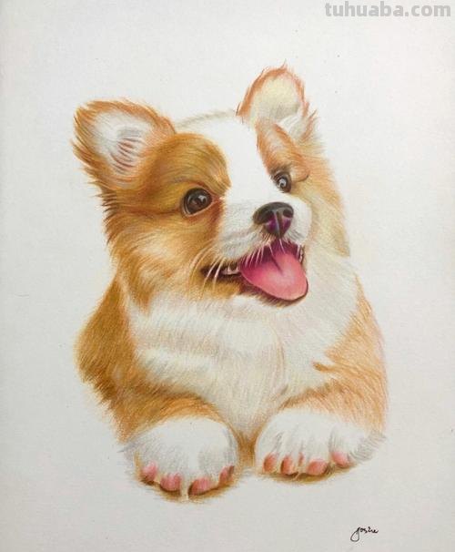 小狗的背景彩铅画怎么画 简单彩铅画?