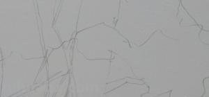 低矮植物速写 速写时怎么快速画出叶子而不失准？