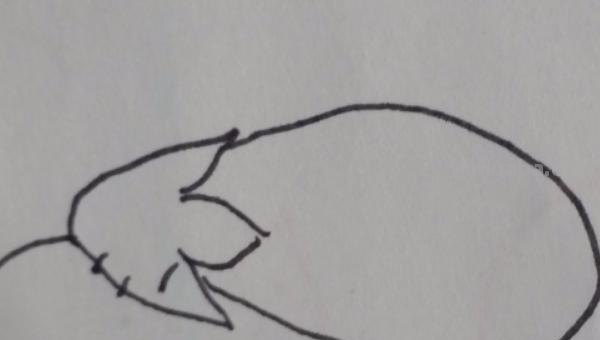茄子怎么画简笔画图片 水果简笔画怎么画？