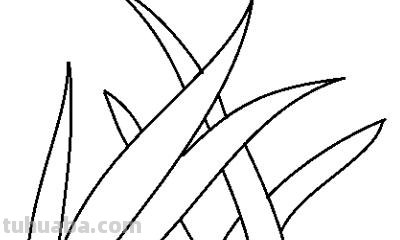 怎么画小草简笔画图片 怎么画小草？
