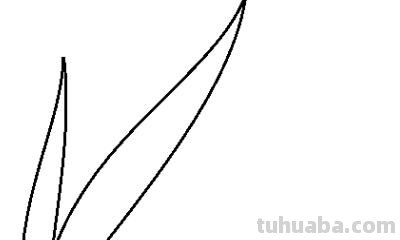 怎么画小草简笔画图片 怎么画小草？