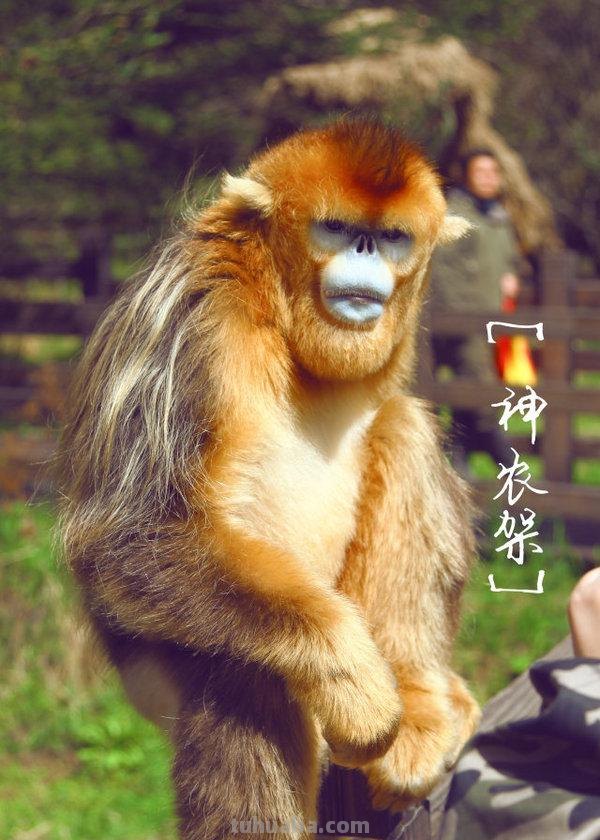 如何选择摄影器材和学习摄影技巧？入门篇