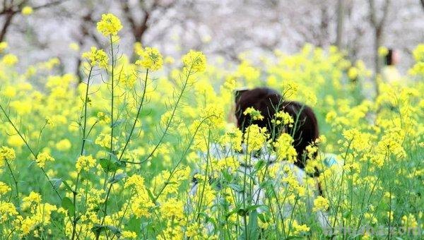如何选择摄影器材和学习摄影技巧？入门篇