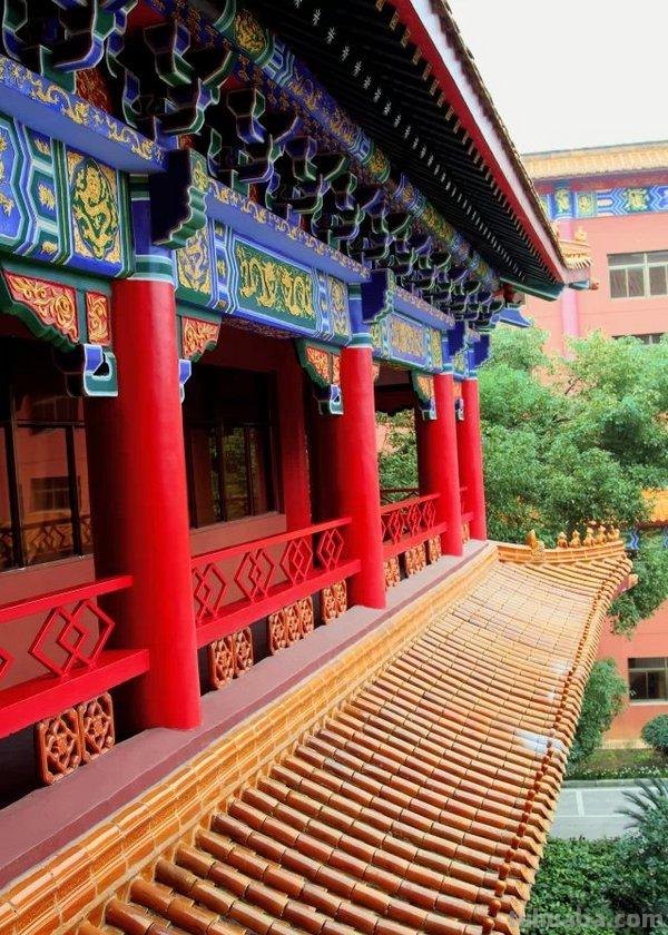如何选择摄影器材和学习摄影技巧？入门篇