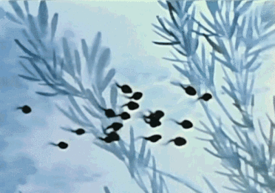 水墨动画再战国际电影节，能否再现往日荣光？