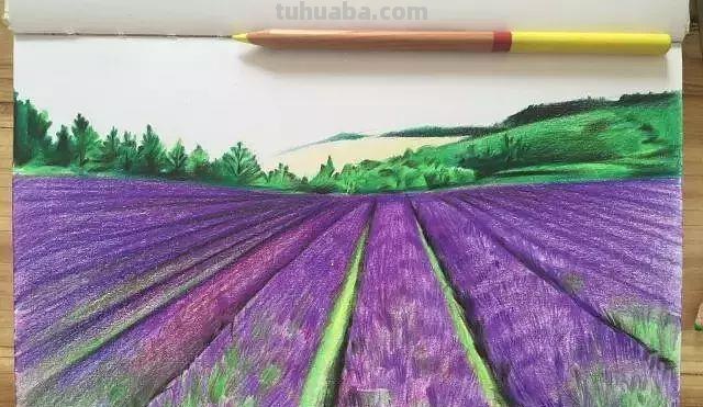 彩铅画可以画什么美景图片 怎么用彩铅画超简单的花海？