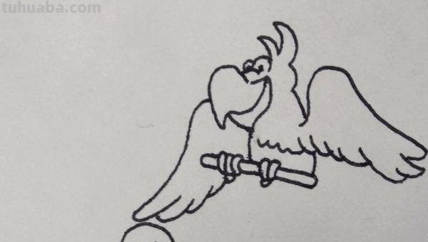鹦鹉怎么画的用彩铅画 鹦鹉怎么涂色？