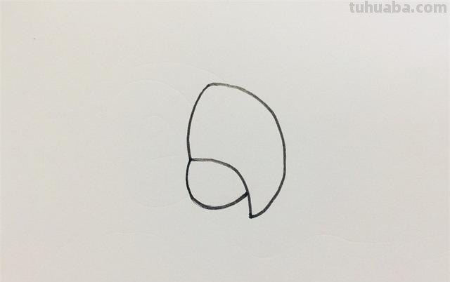 鹦鹉怎么画的用彩铅画 鹦鹉怎么涂色？