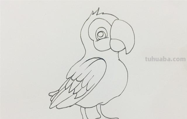 鹦鹉怎么画的用彩铅画 鹦鹉怎么涂色？