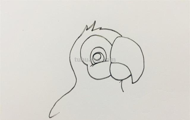 鹦鹉怎么画的用彩铅画 鹦鹉怎么涂色？