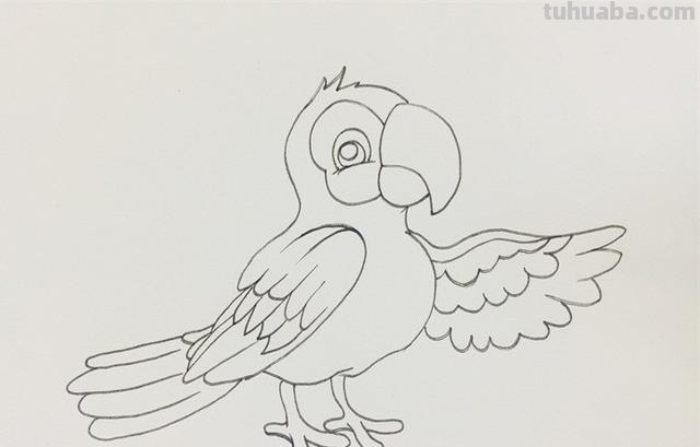 鹦鹉怎么画的用彩铅画 鹦鹉怎么涂色？