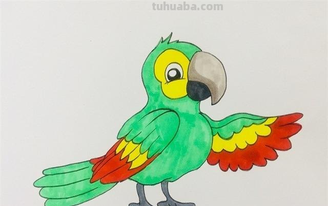 鹦鹉怎么画的用彩铅画 鹦鹉怎么涂色？