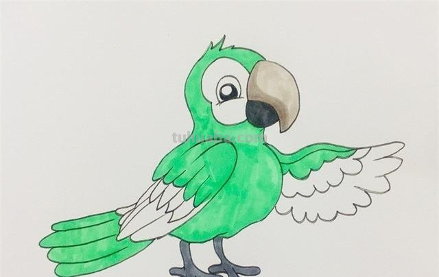 鹦鹉怎么画的用彩铅画 鹦鹉怎么涂色？