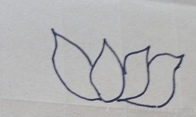 手抄报里的荷花怎么画 如何画荷花？