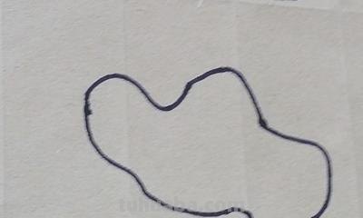 手抄报里的荷花怎么画 如何画荷花？