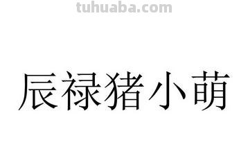 luz 鹭卓